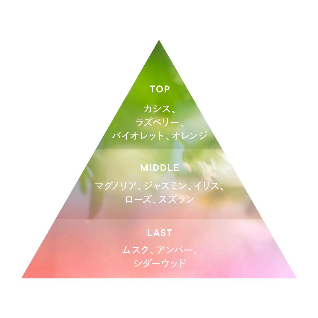 フレグランス 香調