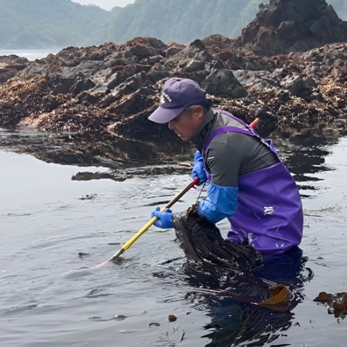 パートナー画像