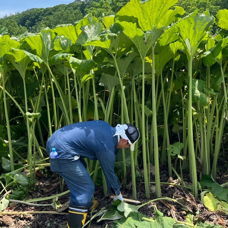 パートナー画像