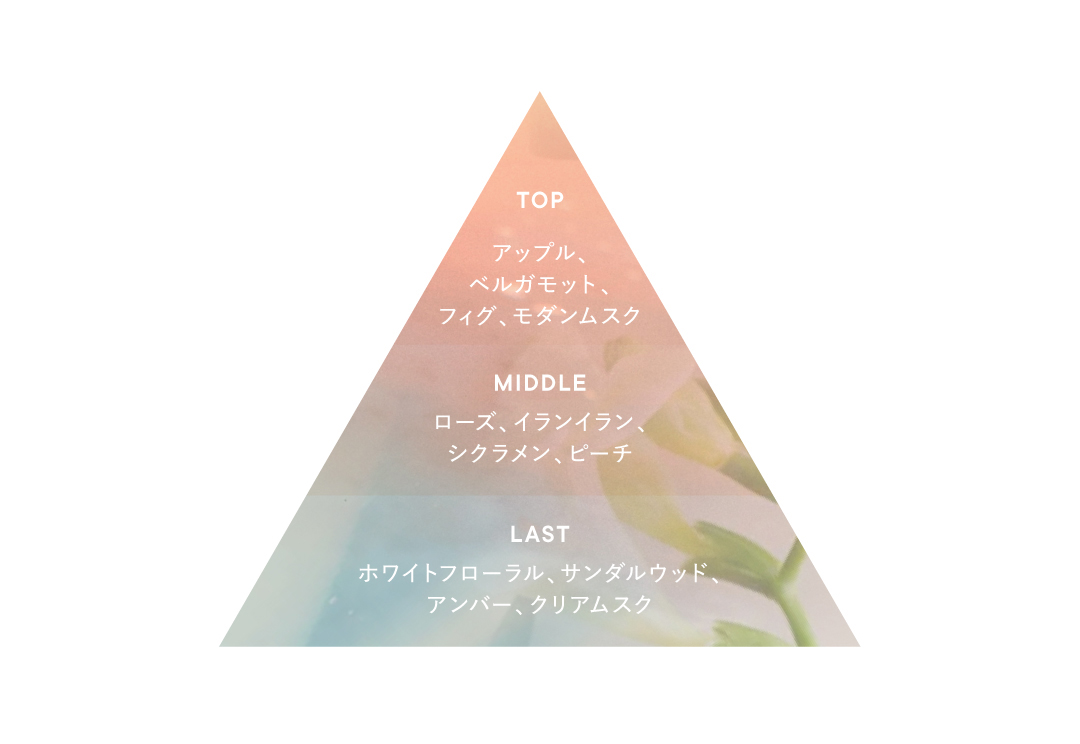 フレグランス 香調