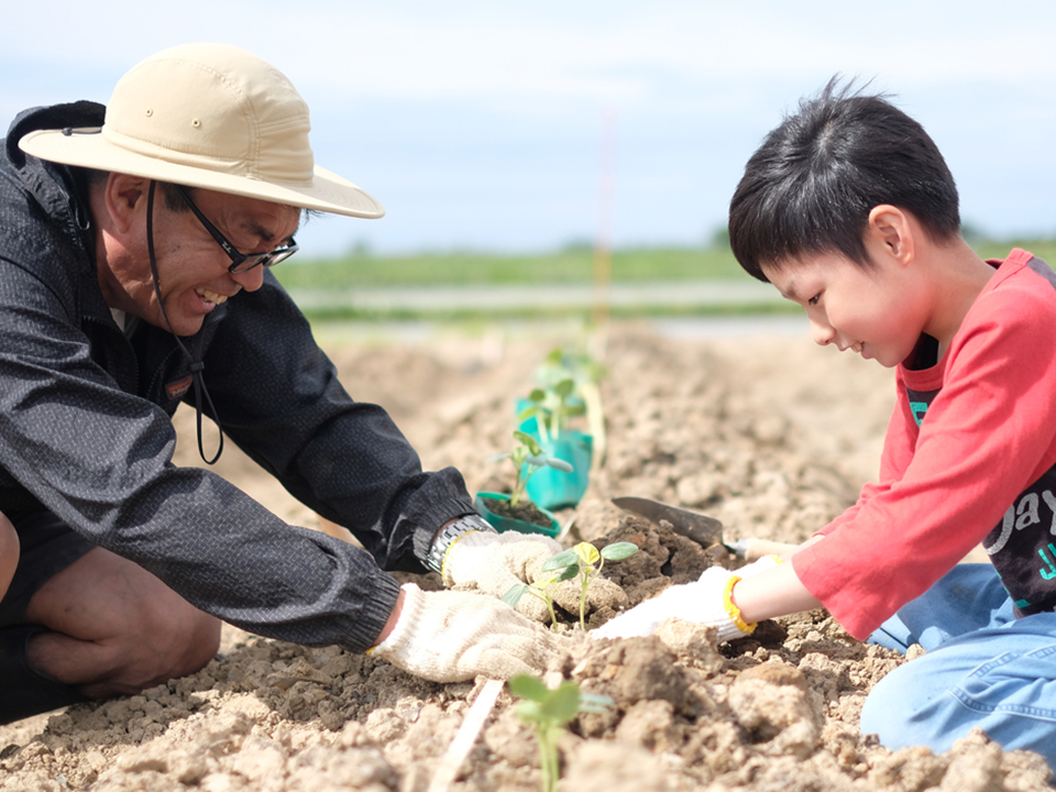 ランドスケープ