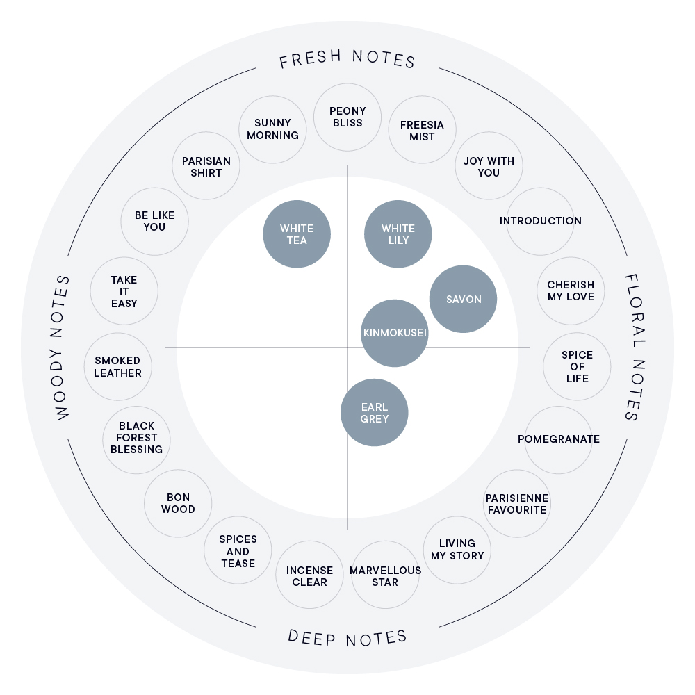 パフューム 香りのチャート図