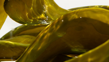 日高昆布フェイスマスク