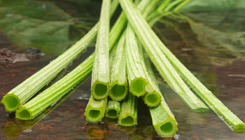 ラワンぶきフェイスマスク